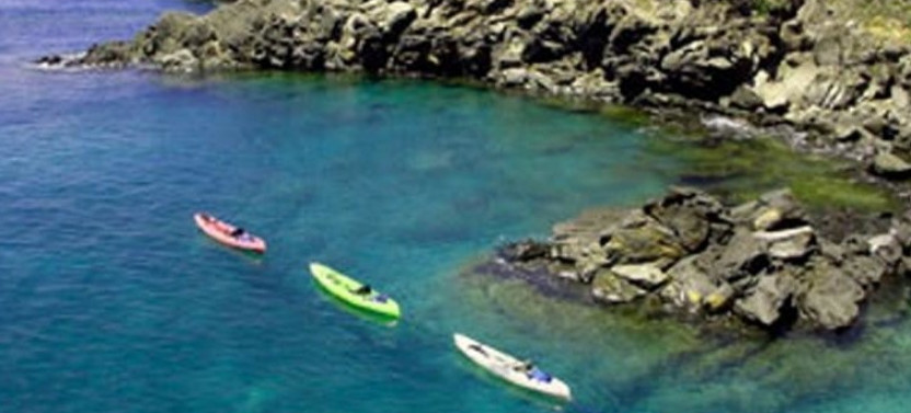 Kayak, Snorkel & Waterfall Combo Tour