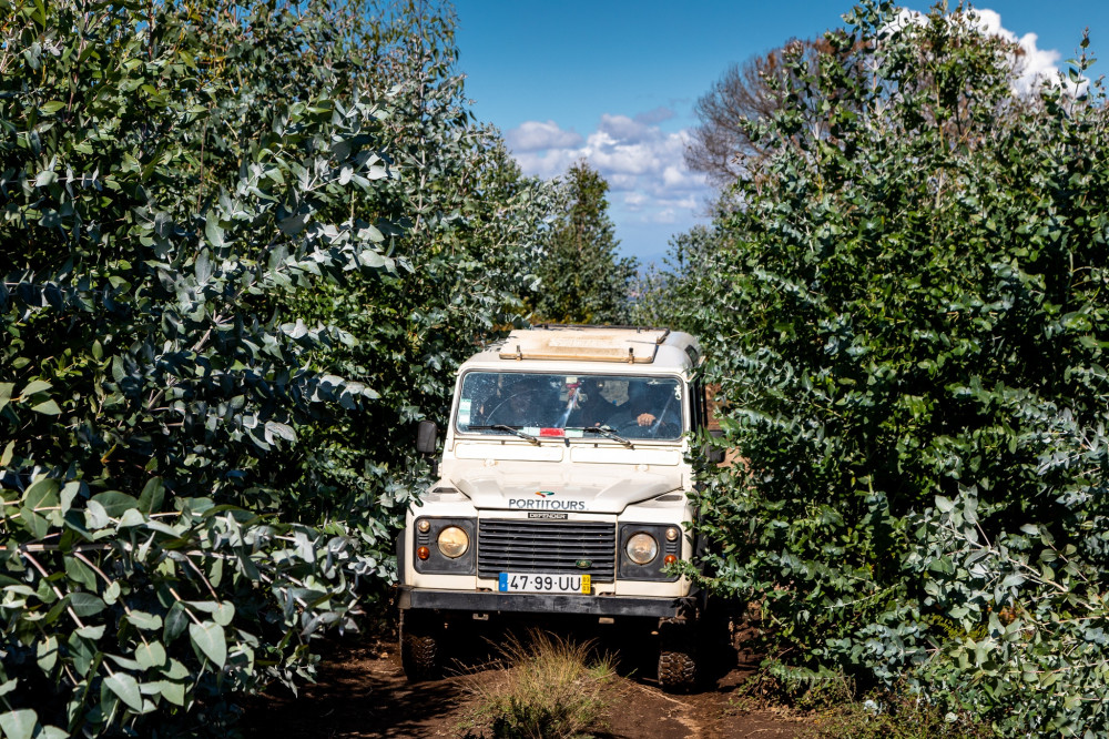 Jeep Safari Tour - Private and Shared Options