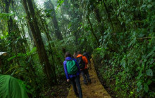 7 Day Costa Rica: Monteverde And La Fortuna Small Group Trip