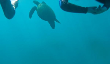 A picture of 10 Day Galápagos Multisport With Quito Small Group Trip