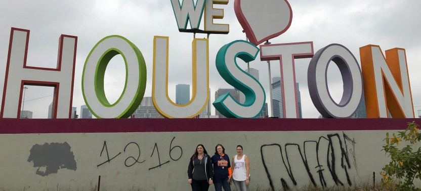 Houston Sightseeing Tour By Golf Cart or Polaris GEM