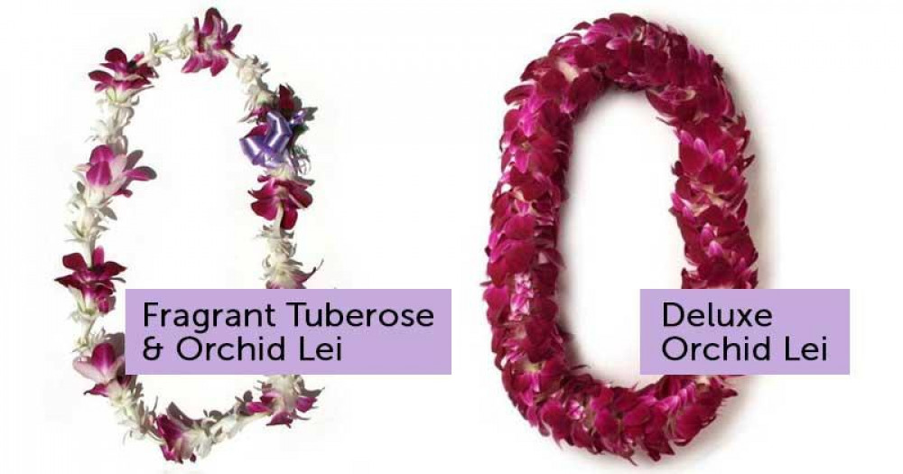 Honolulu Oahu Airport Deluxe Lei Greeting Honolulu Project Expedition