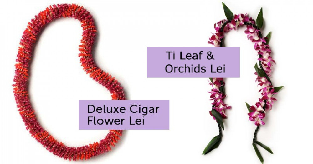 Honolulu Oahu Airport Deluxe / Kukui / Ti Leaf Lei Greeting Honolulu Project Expedition