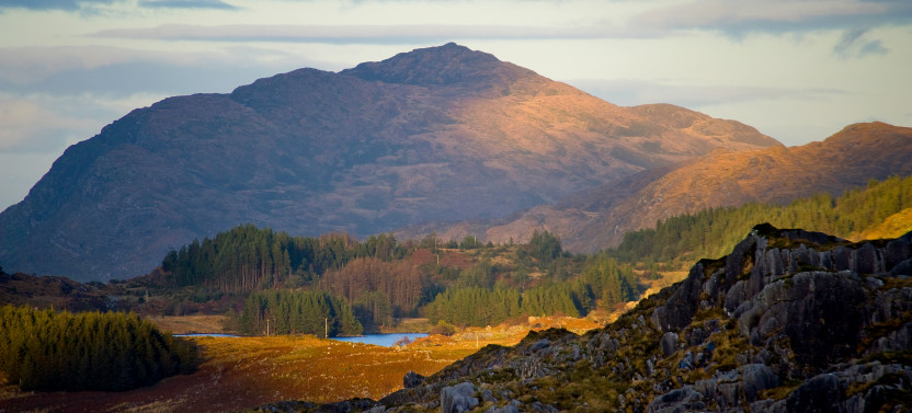 Private Guided Torc Waterfall & Mountain Hike From Kerry