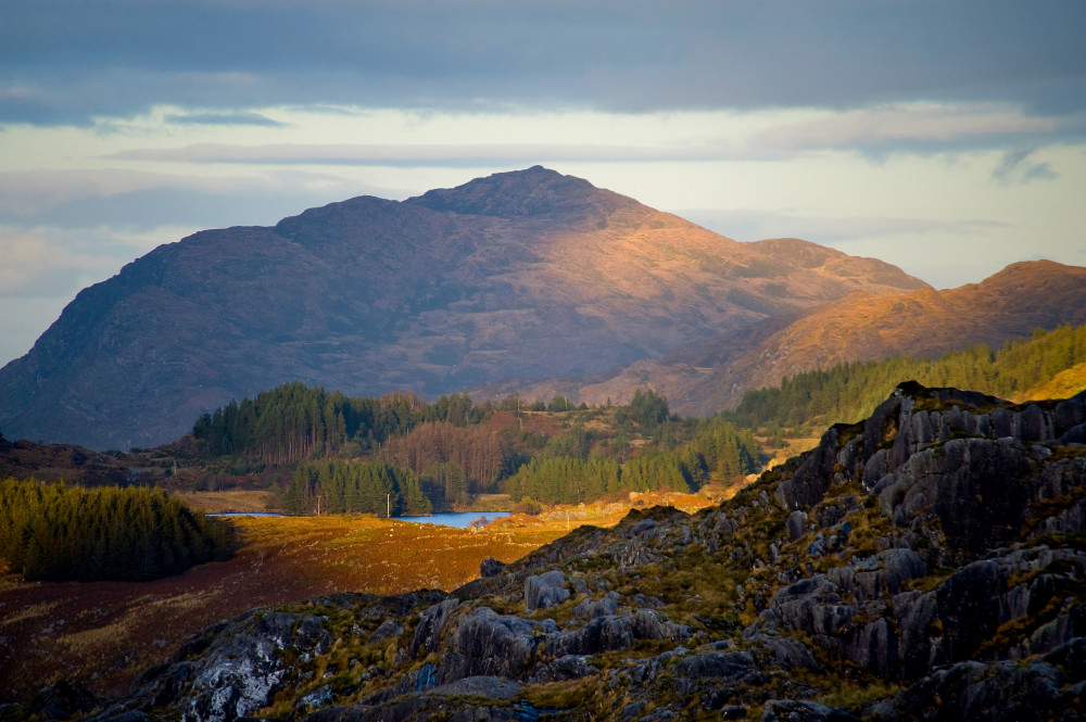 Private Guided Torc Waterfall & Mountain Hike From Kerry