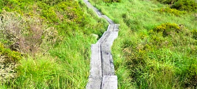 Private Guided Torc Waterfall & Mountain Hike From Kerry