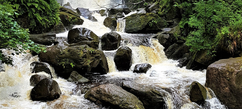 Private Guided Torc Waterfall & Mountain Hike From Kerry