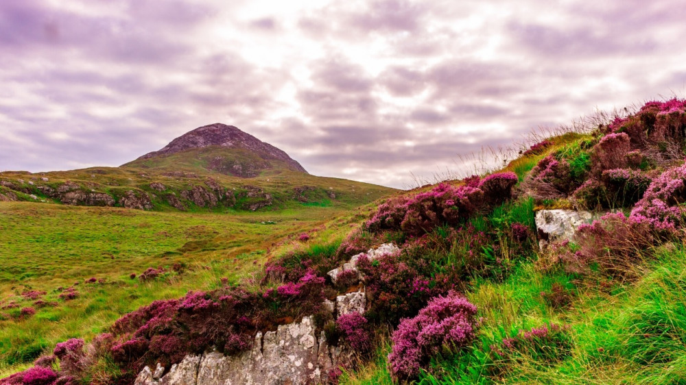 Guided Hike In Connemara National Park From Galway