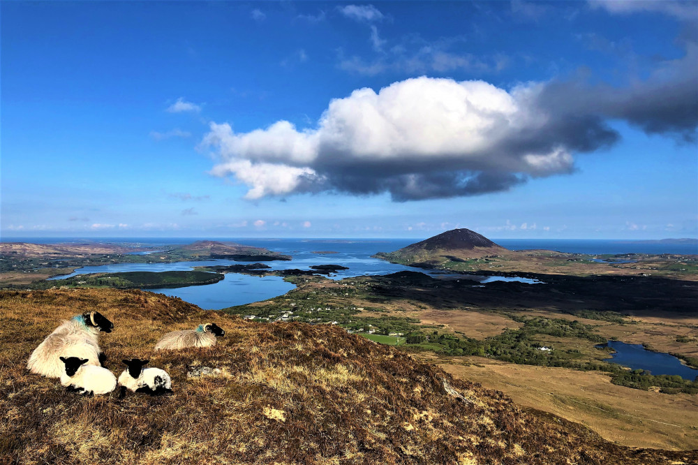 Hike Connemara National Park Including Transport From Galway