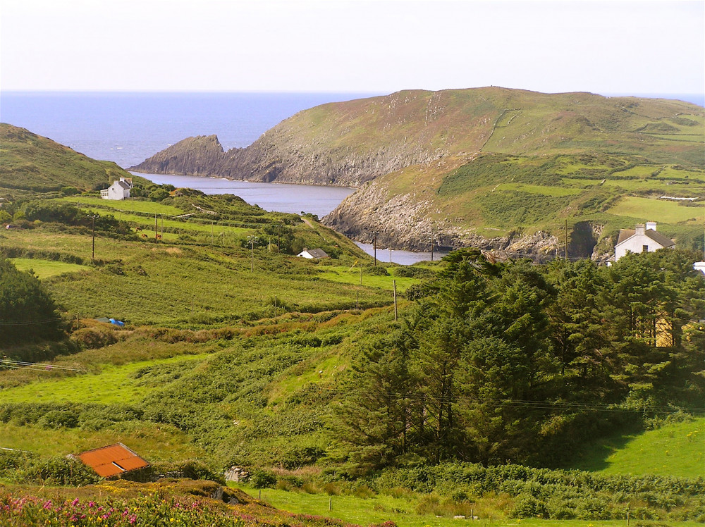 Explore Cape Clear Island Departing Schull - West Cork