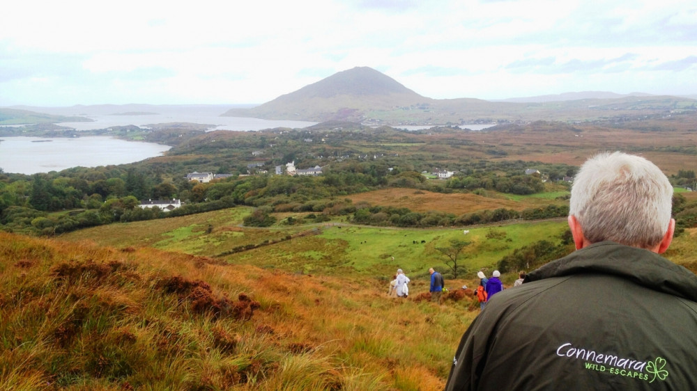 Explore Connemara National Park With Transport From Galway City