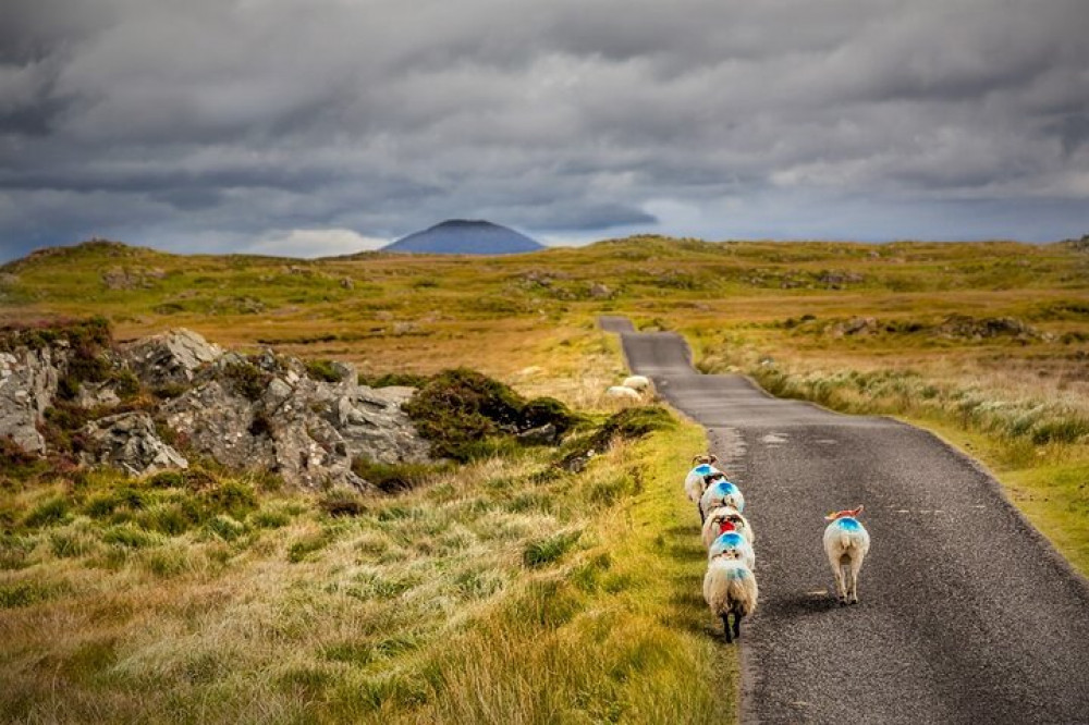 Private Guided Haunted Bog Road Tour From Galway