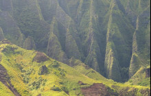 Kauai Sea Tours9