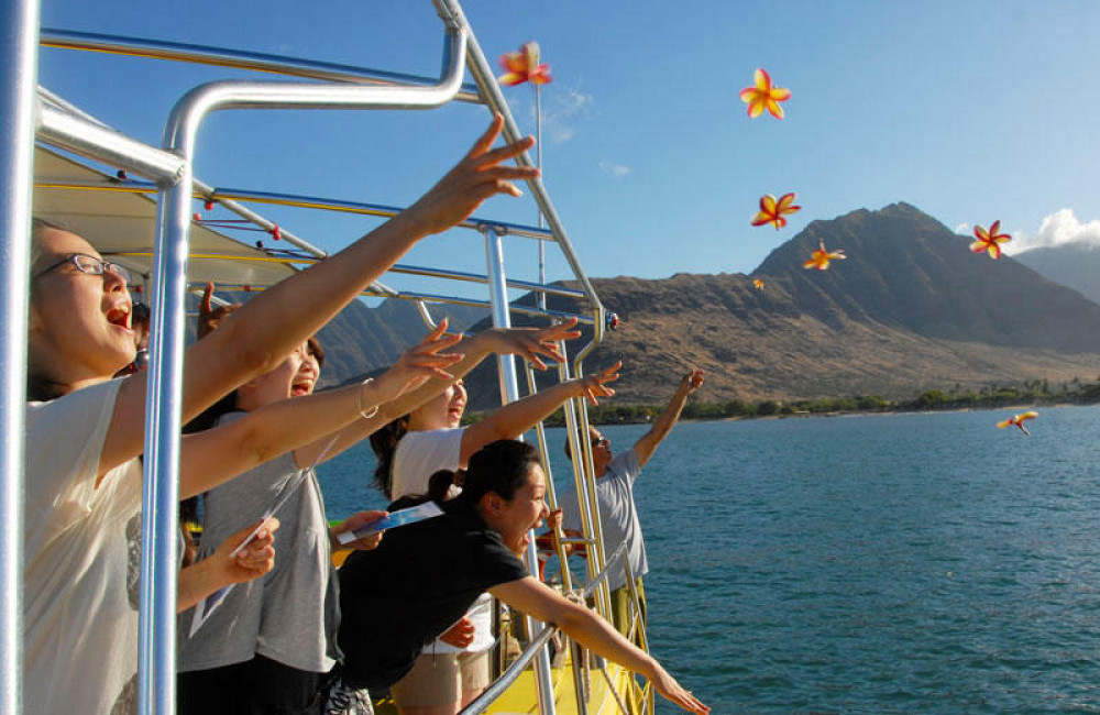 Swim with Dolphins Speedboat Snorkel Tour - Honolulu | Project Expedition