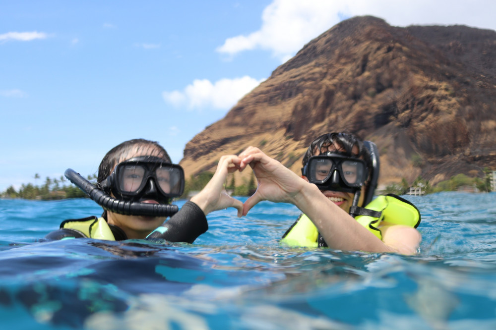 Turtle Snorkeling with Marine Life Honolulu Project Expedition