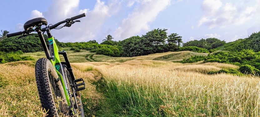 Electric Bike Bajan Sightseeing Experience (Transport Included)