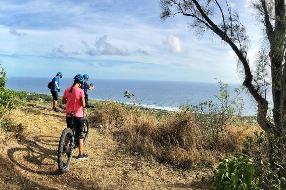 Rural Tracks & Trails - Bike Tour