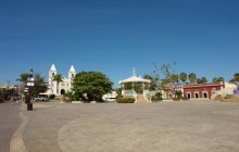 Gray Line Los Cabos4