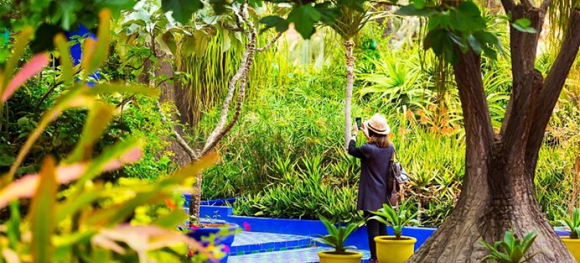 Private Marrakech Full Day Guided City Tour