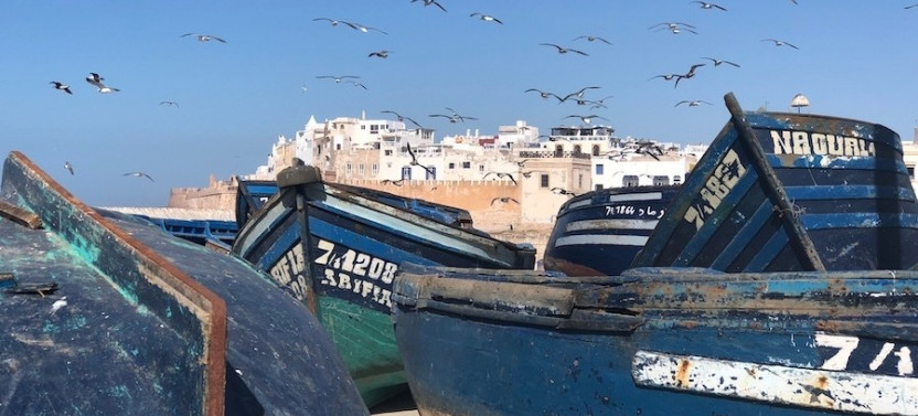 Essaouira Food Tour
