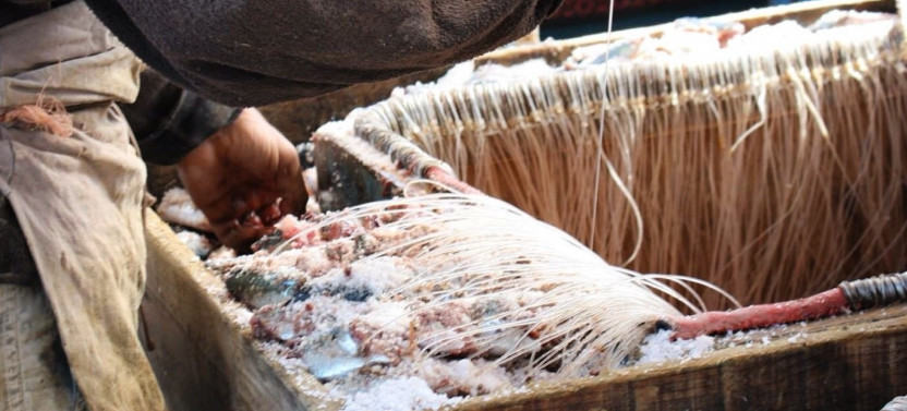Essaouira Food Tour