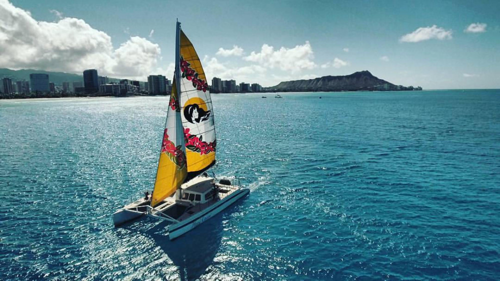 Waikiki Catamaran Cruise -Turtle, Snorkel & Lunch without Shuttle