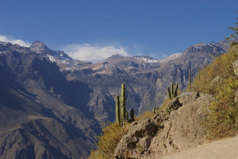 Custom Quote: Full Day Colca Canyon Hiking Tour