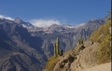 Custom Quote: Full Day Colca Canyon Hiking Tour