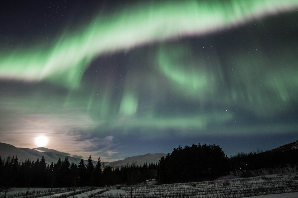 Private Northern Lights Photography Tour