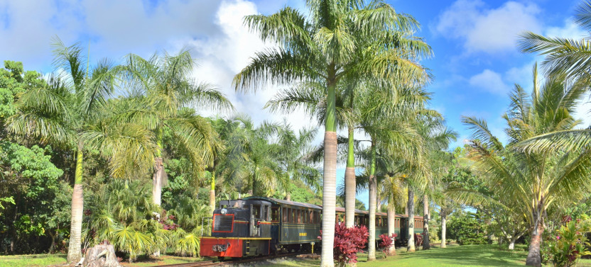 Kauai Waterfall, Plantation and Train Ride