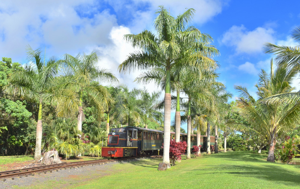 Shore Excursion: Kauai Waterfall, Plantation and Train Ride