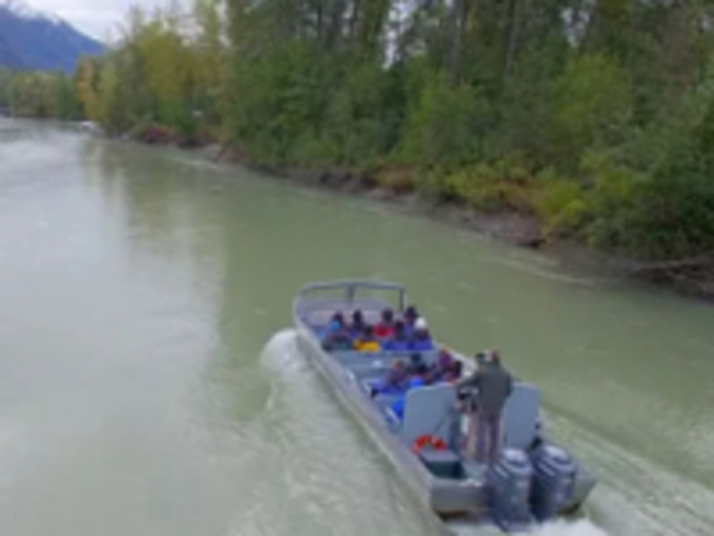 Chilkat River Jet Boat Adventure: From Skagway