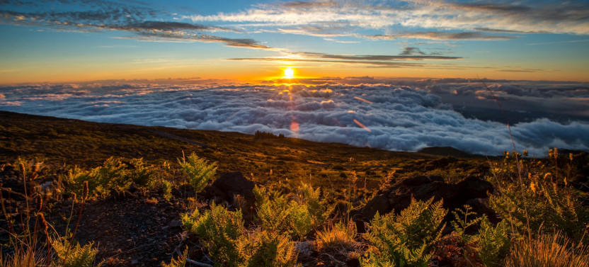 Private Haleakala Summit & Stroll with Hotel Pick Up