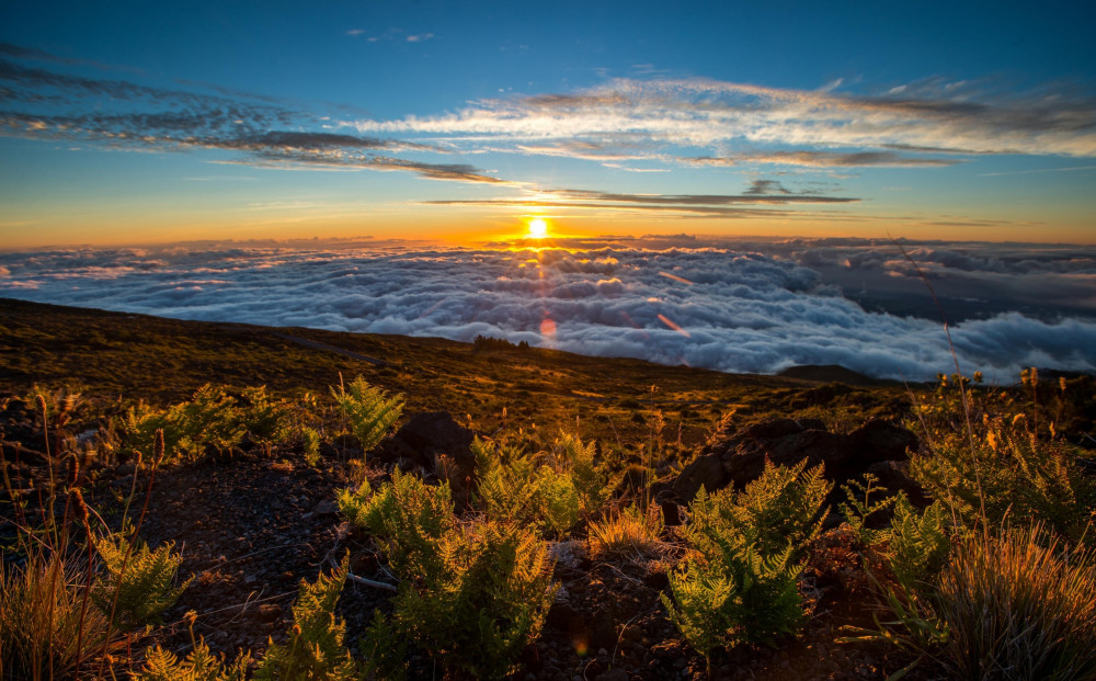 Private Haleakala Summit & Stroll with Hotel Pick Up