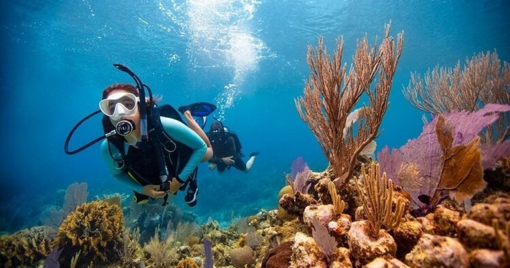 Discover Scuba Diving - Cozumel | Project Expedition