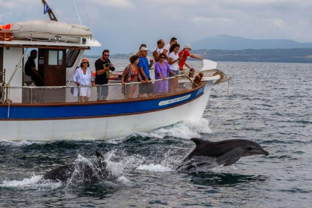 Private Boat Cruise with Local Lunch, Wines and Spirits