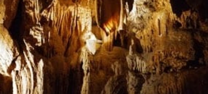 Private Day Tour - Luray Caverns