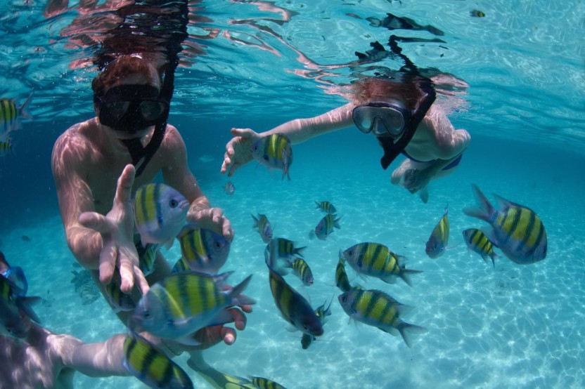 Angthong National Marine Park By Speed Boat With Snorkeling