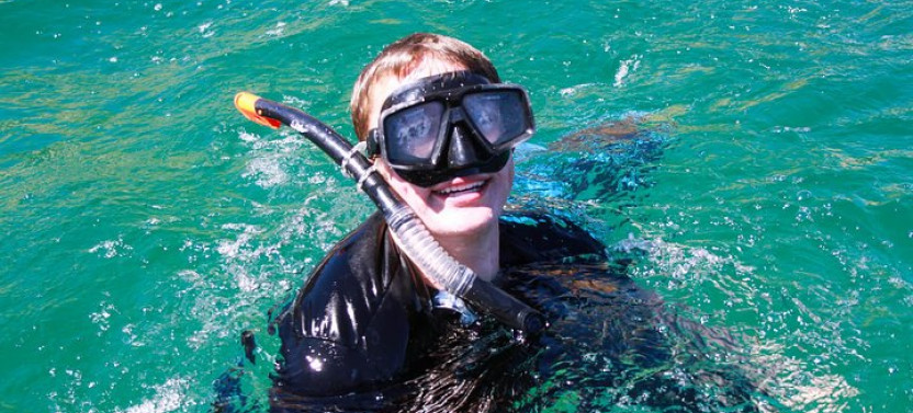 Los Cabos Snorkeling Tour To Chileno Bay And Santa Maria Cove