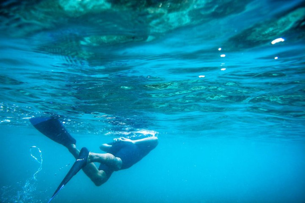 Los Cabos Snorkeling Tour To Chileno Bay And Santa Maria Cove - Cabo ...