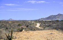 High Tide Los Cabos8