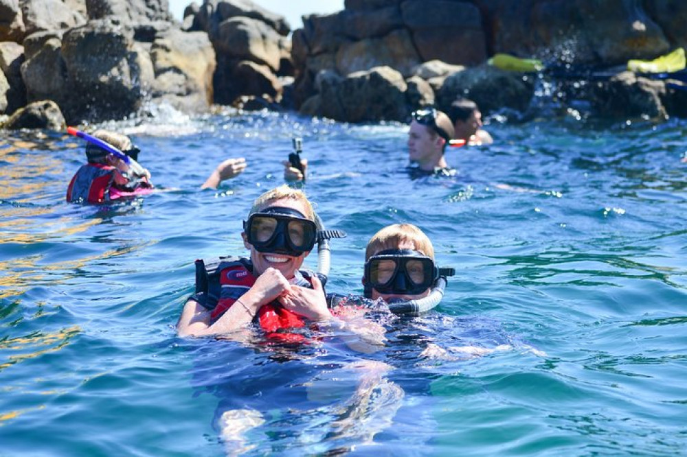 Private Paddleboard And Snorkel At The Arch - Cabo San Lucas | Project ...