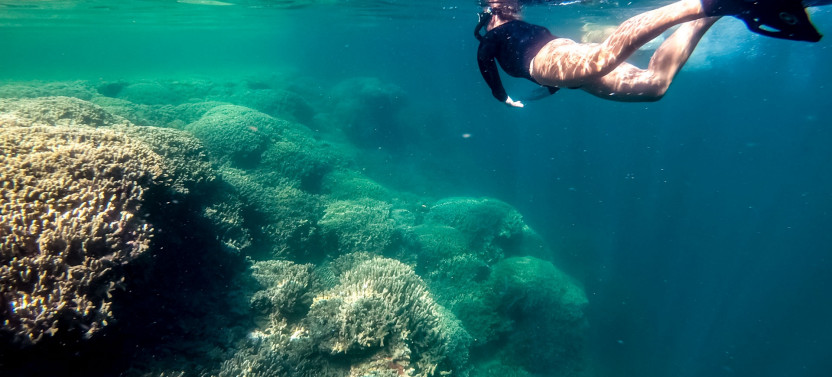 Kaneohe Bay Coral Reef Self-Guided Kayaking Adventure