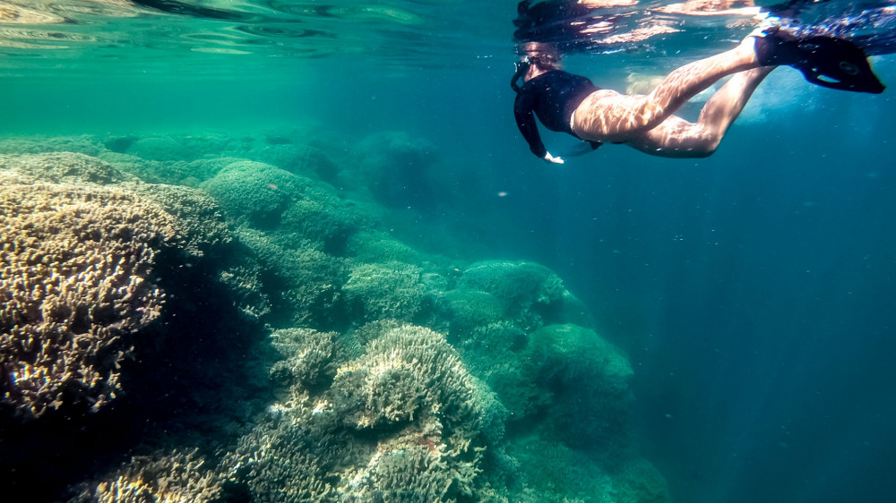 Kaneohe Bay Coral Reef Self-Guided Kayaking Adventure