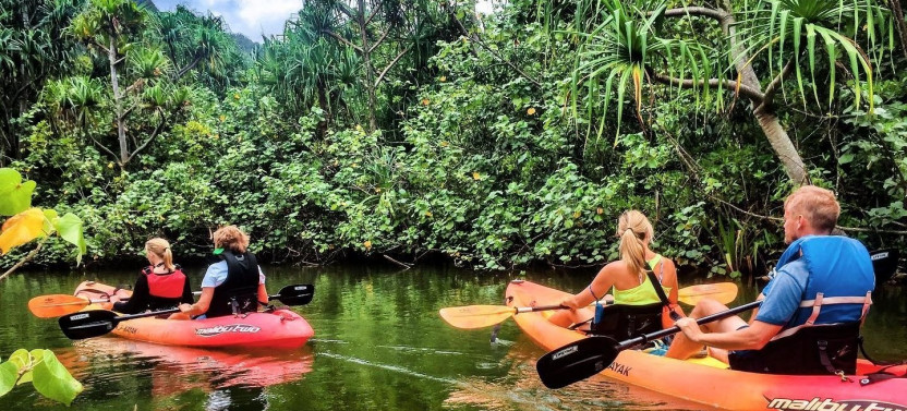 Rainforest Self-Guided Kayak Tour