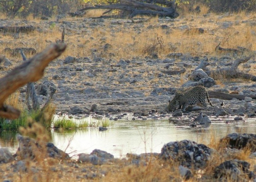 Northern Namibia