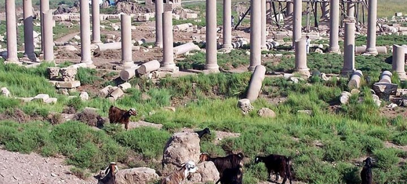 2 Days - El Minya City, Tuna El Gabal, Beni Hassan, & Tel Amarna
