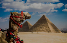 Your Egypt Tours6