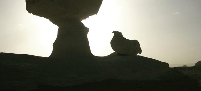 Bahareya Oasis: Unforgettable Overnight In The White Desert