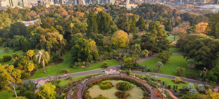 Botanic Gardens & Botanical Museum Excursion By Felucca Boat